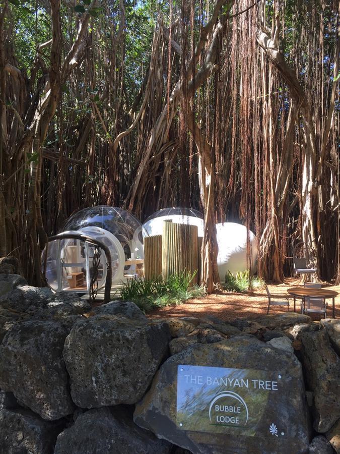 Bubble Lodge Ile Aux Cerfs Island Exterior photo